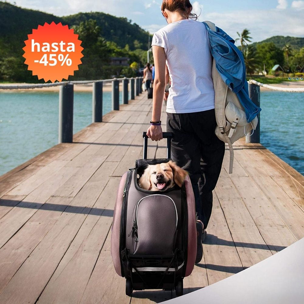 Transportines y Trolleys