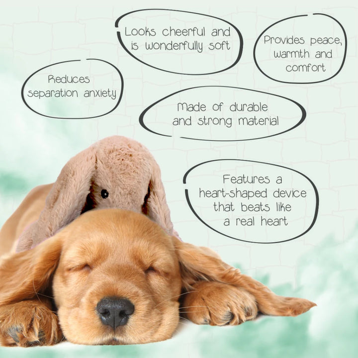 Peluche Conejito Verde Calmante con Calor y Latido para Perros