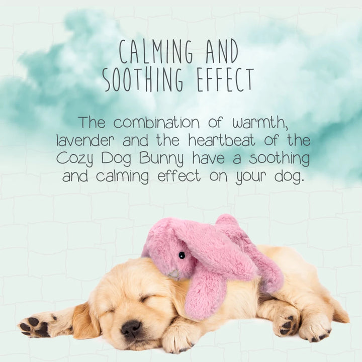 Peluche Conejito Verde Calmante con Calor y Latido para Perros