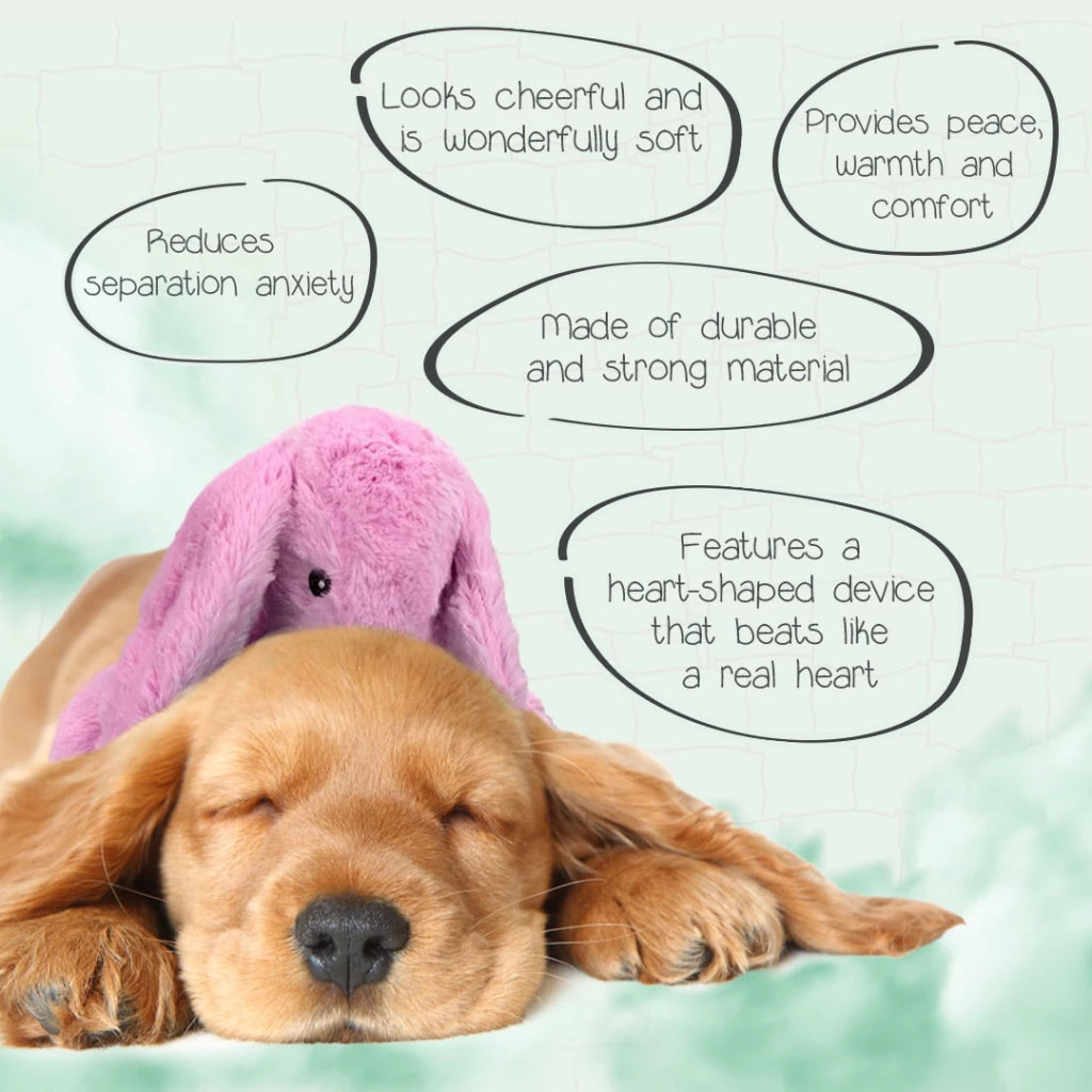 Peluche Conejito Verde Calmante con Calor y Latido para Perros