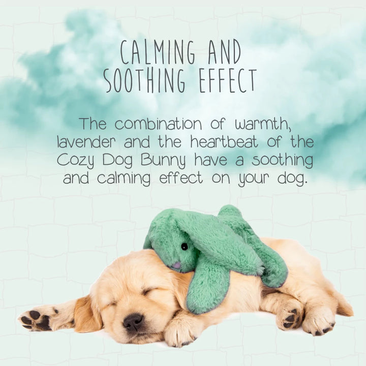 Peluche Conejito Verde Calmante con Calor y Latido para Perros