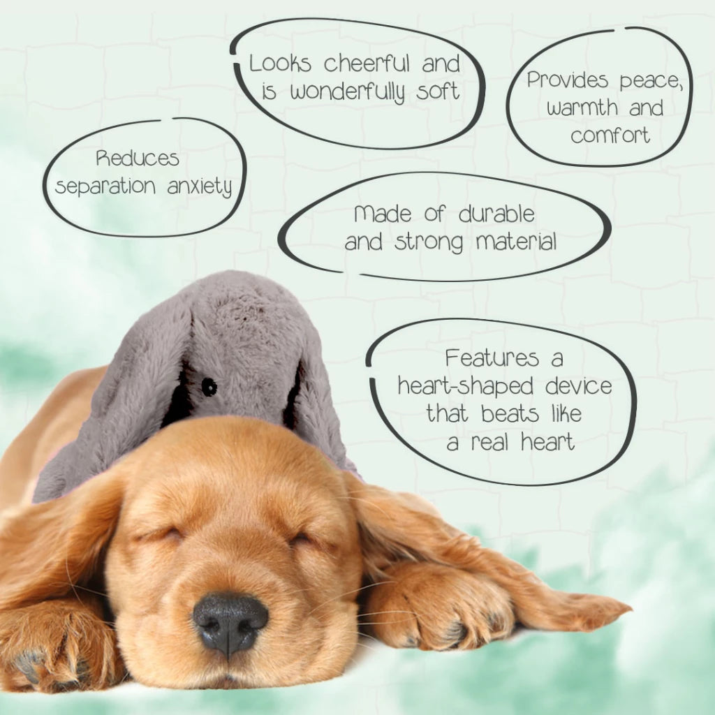 Peluche Conejito Verde Calmante con Calor y Latido para Perros