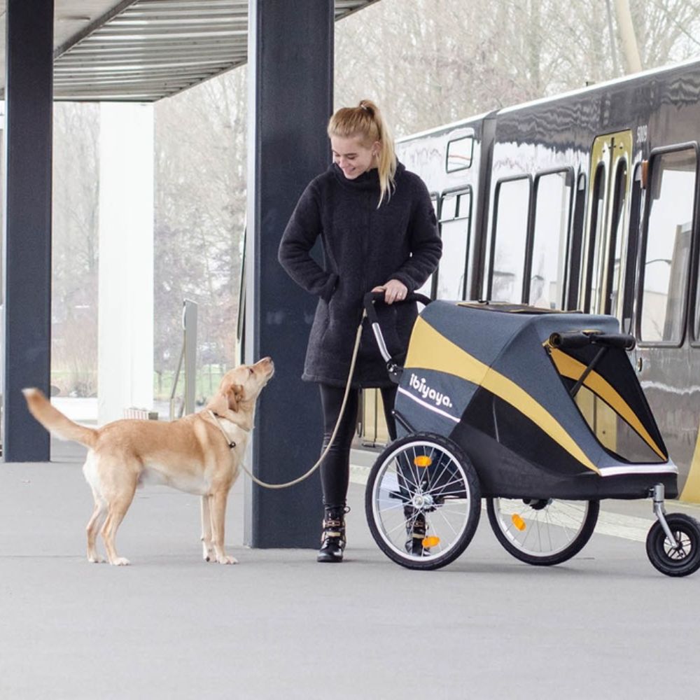 Carrito Hércules Ibiyaya para perros grandes hasta 50 kg (todo terreno)