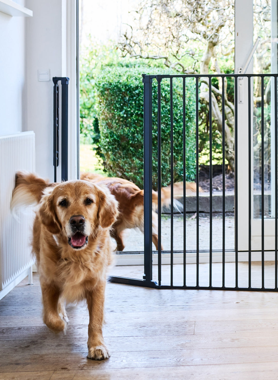 Barrera Modular Extra Alta para Perros Grandes Rocky- DogSpace