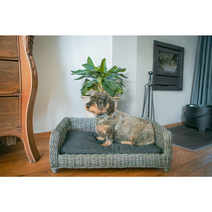 Cesta de Mimbre para Perros Let's Sleep Cozy