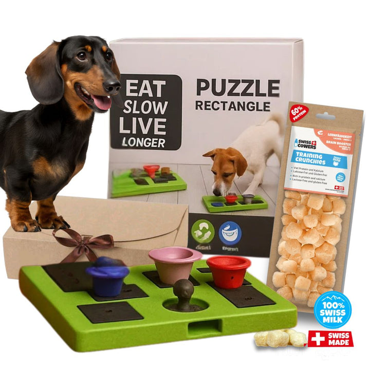 Pack Zen Crunchy (Queso) – Puzzle + snack queso original