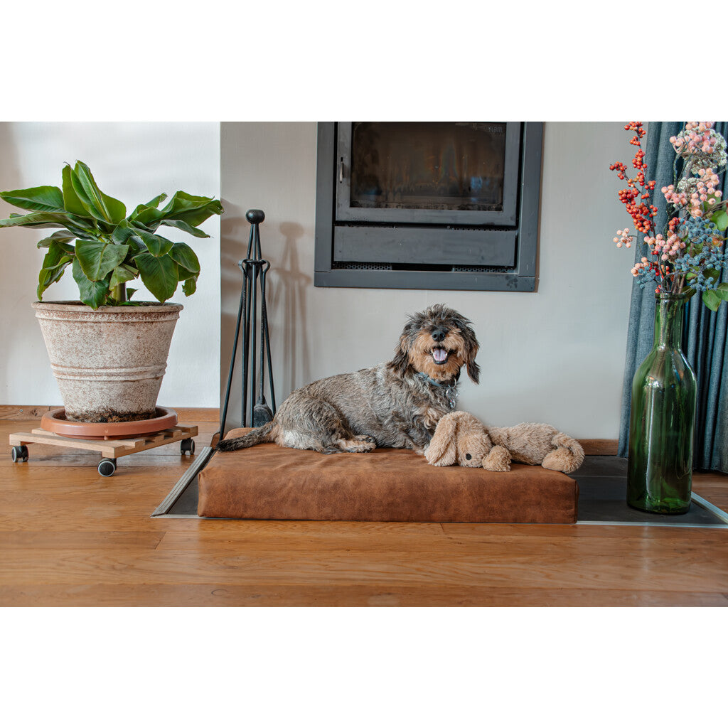 Cama ortopédica para perros de espuma viscoelástica XL color Cognac
