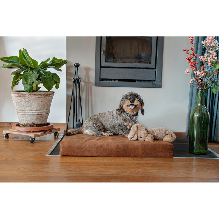 Cama ortopédica para perros de espuma viscoelástica XL color Cognac