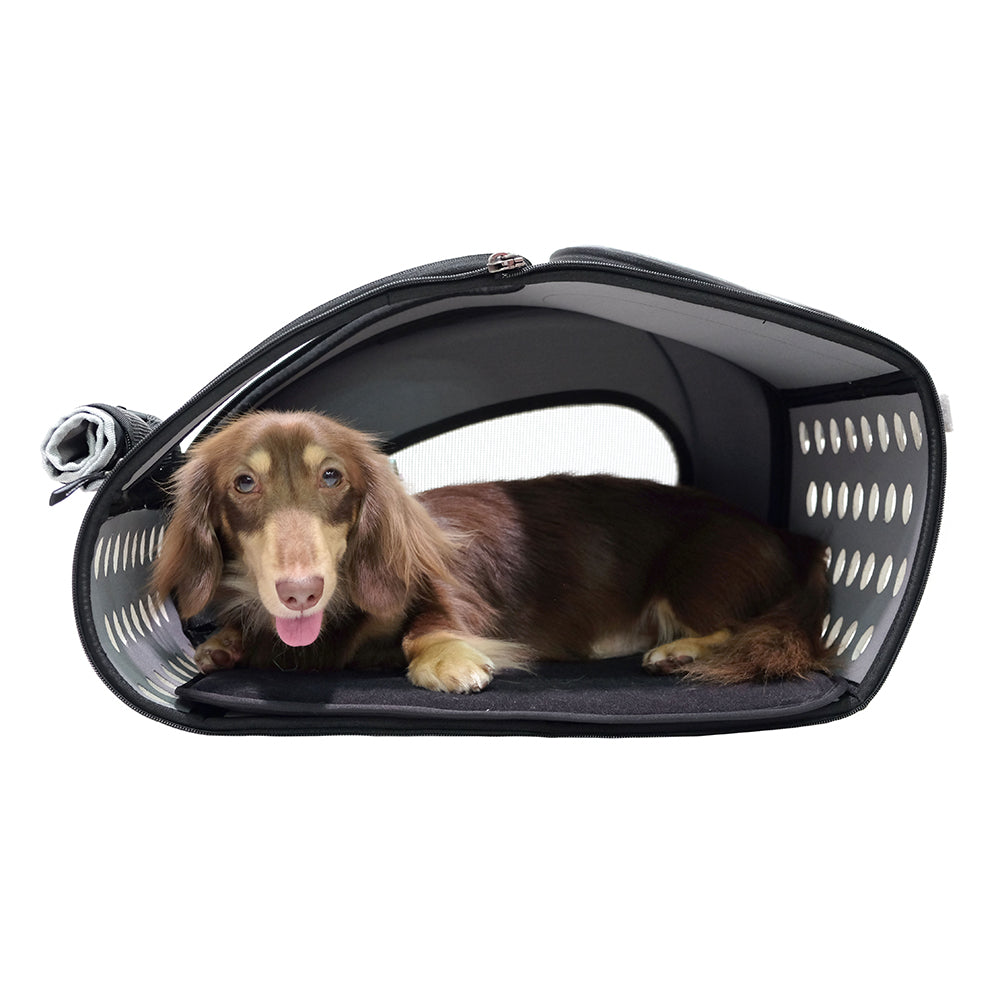 Trolley para Perros y Gatos 4 en 1 de Ibiyaya: Transportín con Ruedas, Mochila y Bolso (Hasta 8 kg) 🎁Regalo Premium Incluido 🎁