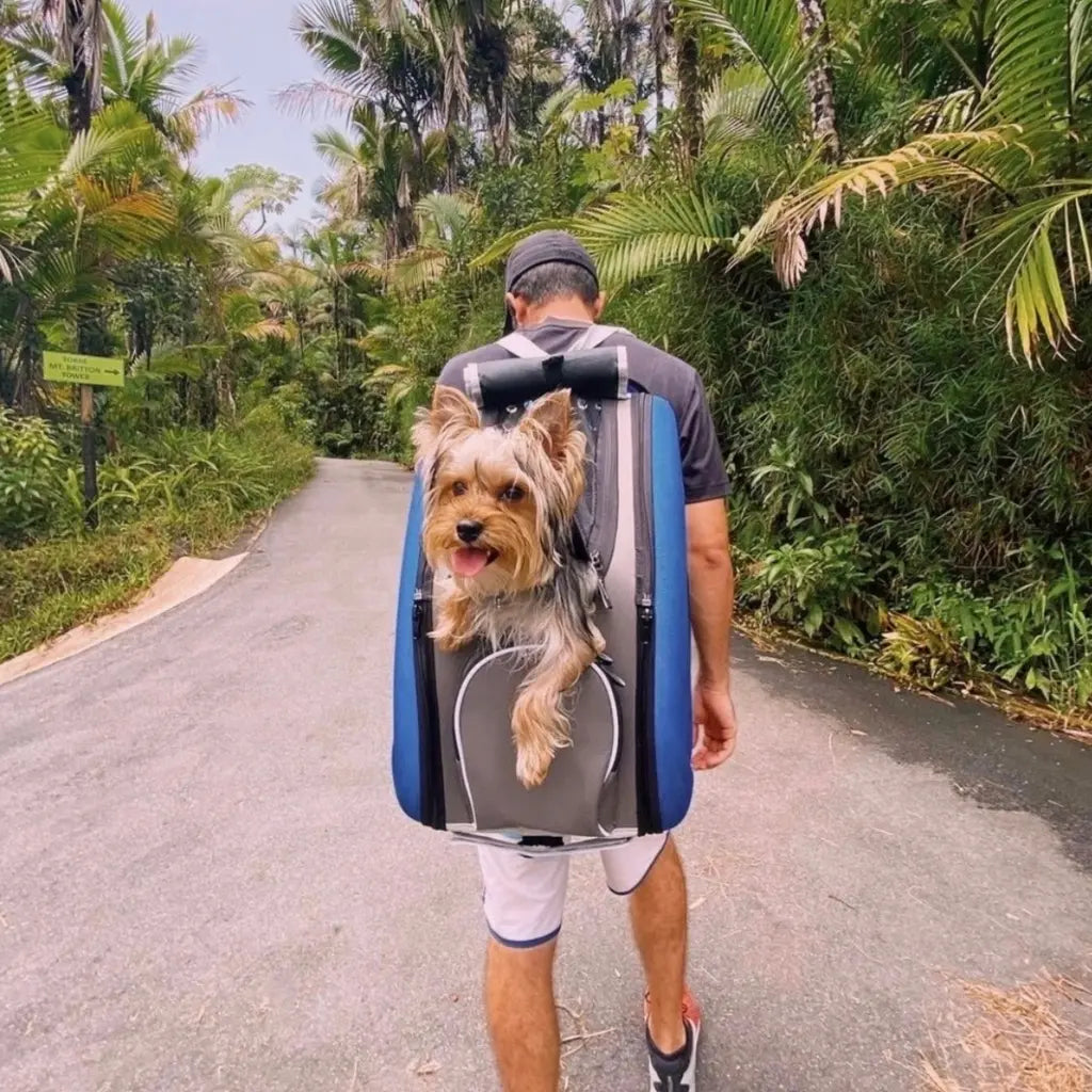 Trolley para Perros y Gatos 4 en 1 de Ibiyaya: Transportín con Ruedas, Mochila y Bolso (Hasta 8 kg)🎁Regalo Premium Incluido 🎁