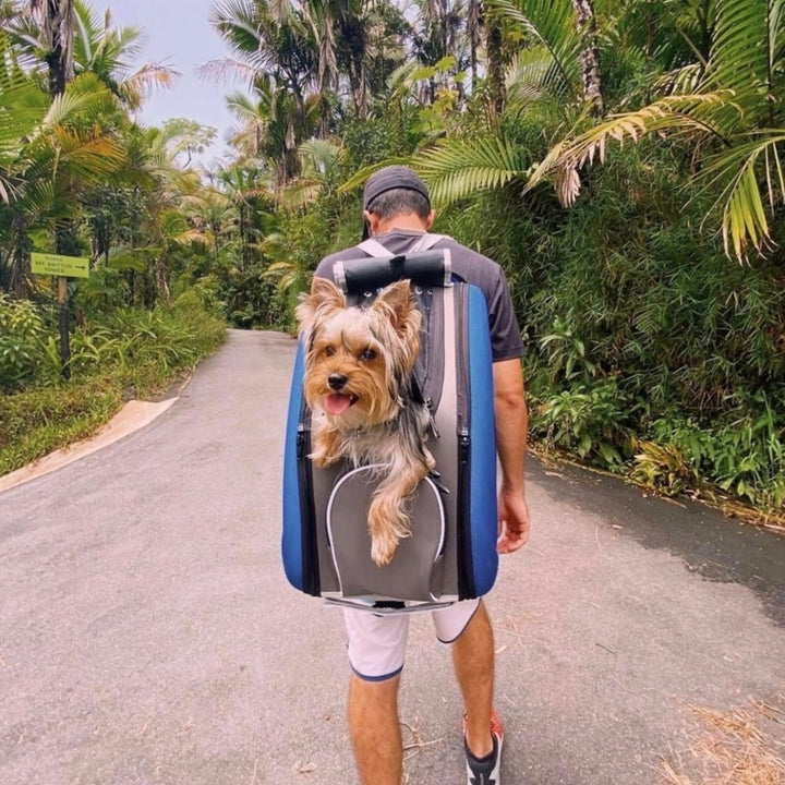 Trolley para Perros y Gatos 4 en 1 de Ibiyaya: Transportín con Ruedas, Mochila y Bolso (Hasta 8 kg) 🎁Regalo Premium Incluido 🎁