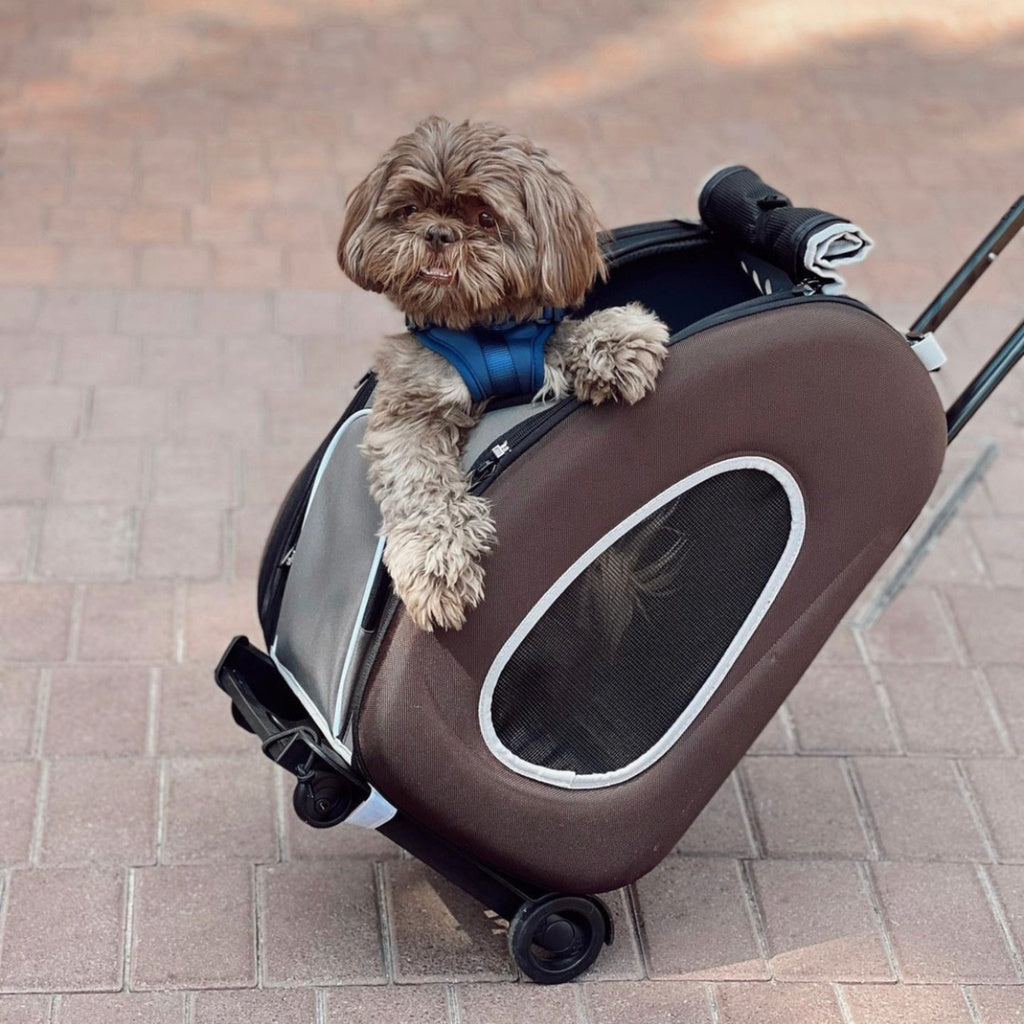 Trolley para Perros y Gatos 4 en 1 de Ibiyaya: Transportín con Ruedas, Mochila y Bolso (Hasta 8 kg) 🎁Regalo Premium Incluido 🎁