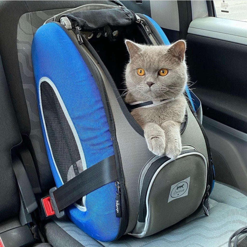 Trolley para Perros y Gatos 4 en 1 de Ibiyaya: Transportín con Ruedas, Mochila y Bolso (Hasta 8 kg) 🎁Regalo Premium Incluido 🎁