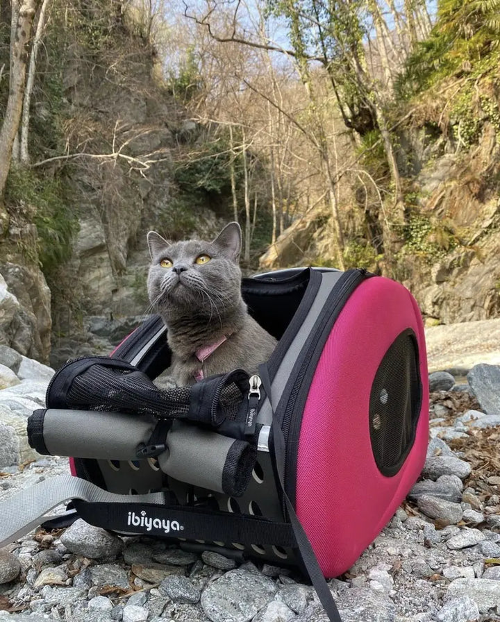 Trolley para Perros y Gatos 4 en 1 de Ibiyaya: Transportín con Ruedas, Mochila y Bolso (Hasta 8 kg) 🎁Regalo Premium Incluido 🎁
