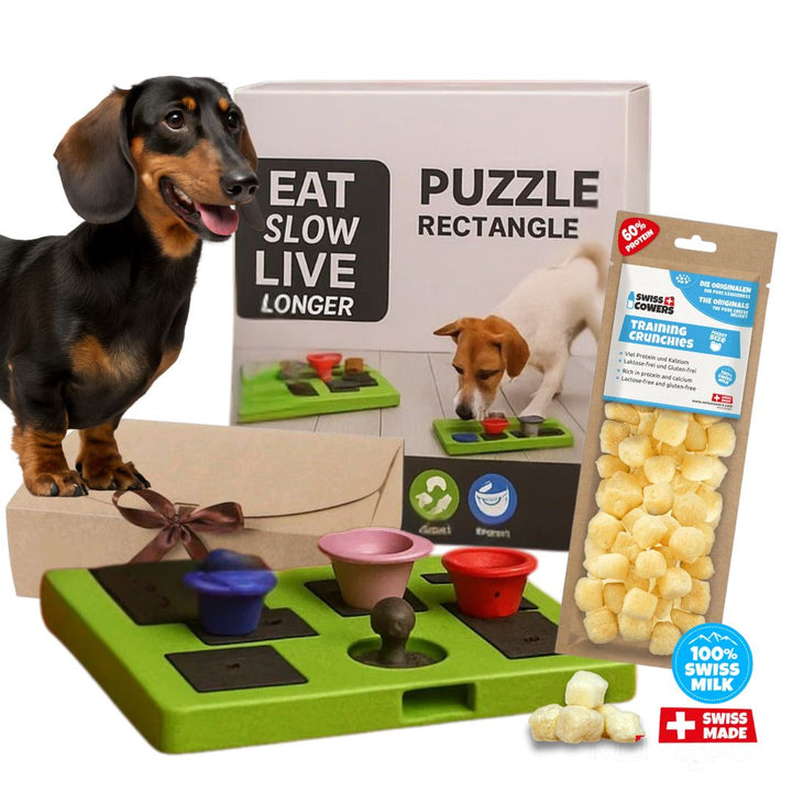 Pack Zen Brain (Queso) – Puzzle + snack “Brain Booster”