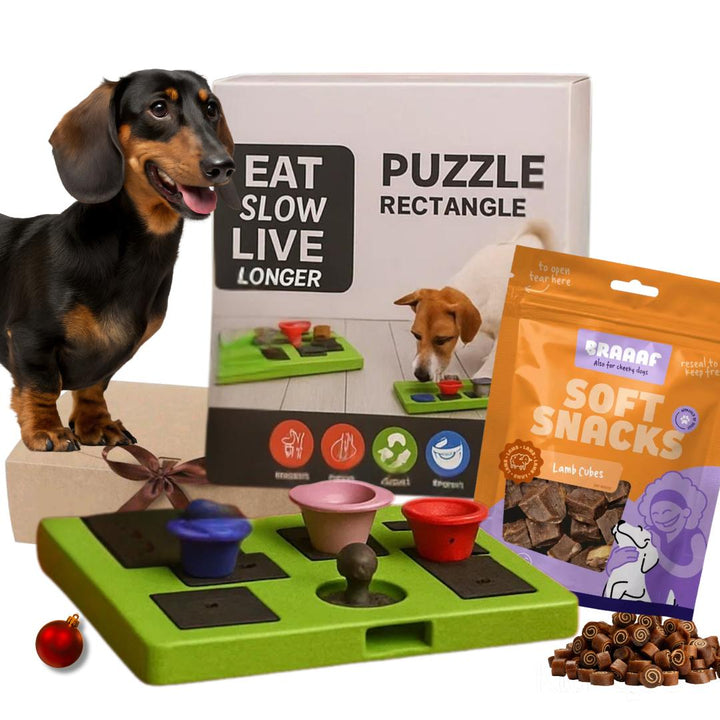 Zen Mar & Tierra Sushi Pato y Pescado – Puzzle + snack