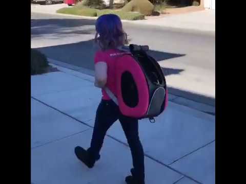 Carrito Multifuncional 5 en 1 para Perros y Gatos Diseño Premium Rosa - Ibiyaya