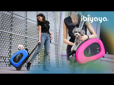 Trolley para Perros y Gatos 4 en 1 de Ibiyaya: Transportín con Ruedas, Mochila y Bolso (Hasta 8 kg)🎁Regalo Premium Incluido 🎁