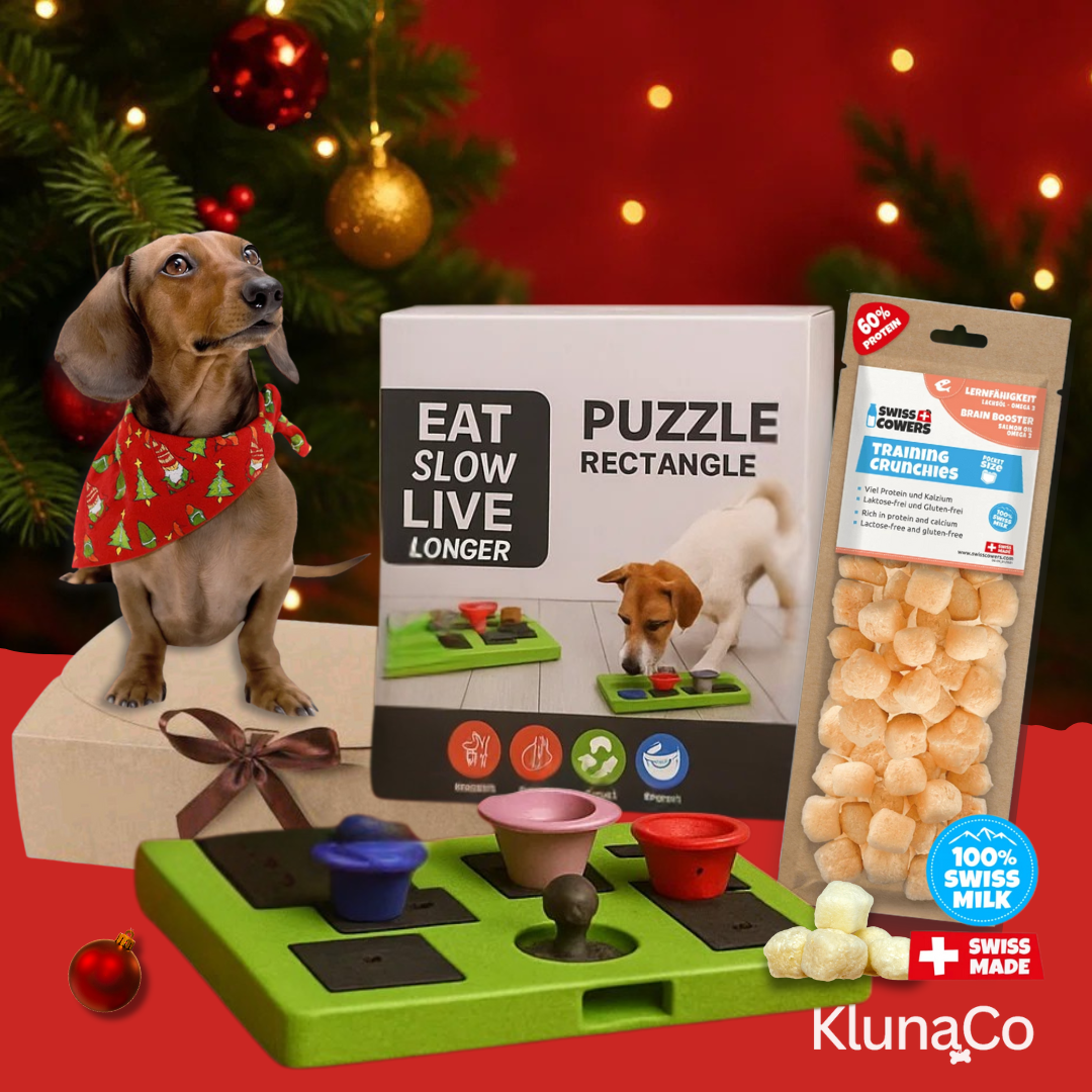 caja navideña perros